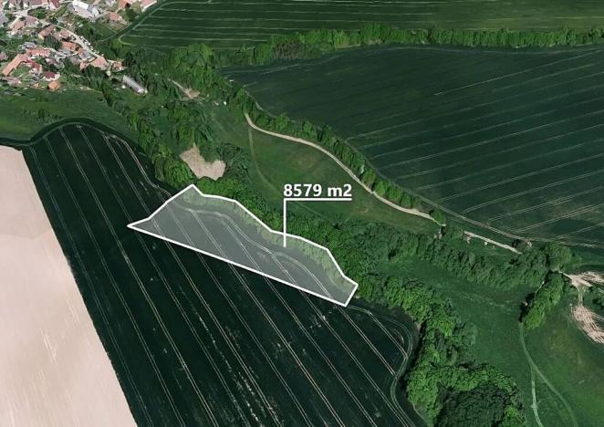 Prodej podílu pole, Petroupim, 218 m2