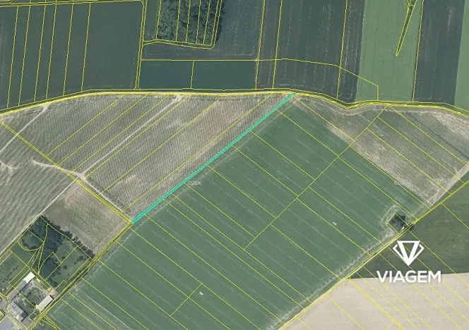 Prodej podílu pole, Dolní Životice, 315 m2