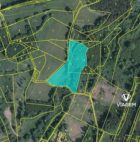 Prodej podílu lesa, Kaliště, 2503 m2