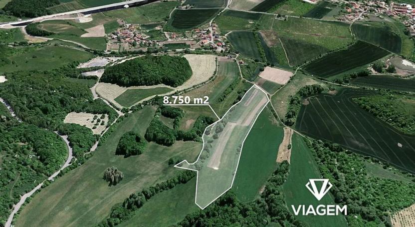 Prodej podílu pole, Velemín, 8749 m2