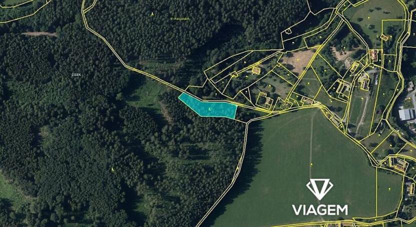 Prodej podílu lesa, Bouzov, 689 m2