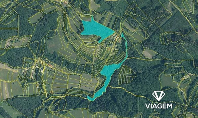 Prodej podílu lesa, Růžďka, 4590 m2