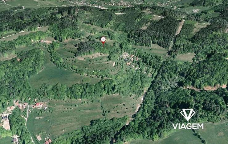 Prodej podílu lesa, Růžďka, 4590 m2