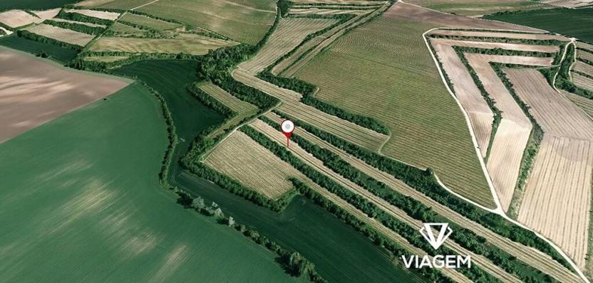 Prodej pole, Čejkovice, 2053 m2