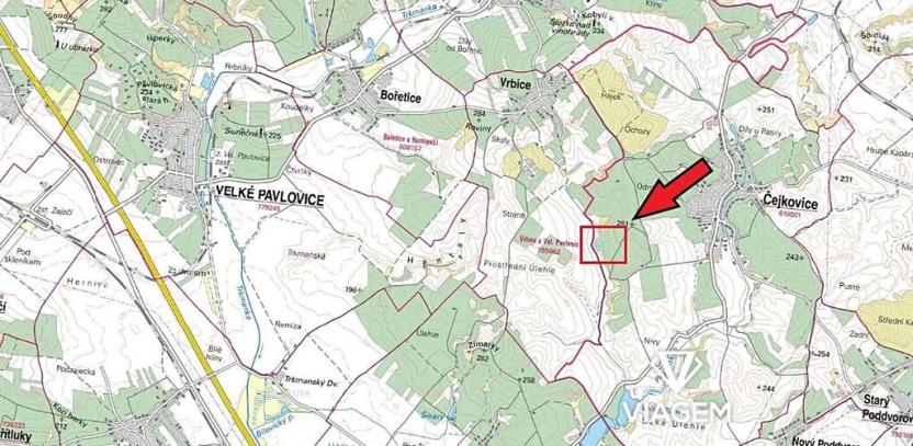 Prodej pole, Čejkovice, 2053 m2