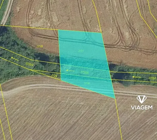 Prodej pole, Nový Malín, 1413 m2