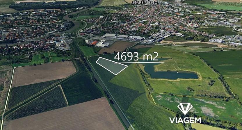 Prodej podílu pole, Staré Město, 1173 m2