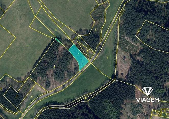 Prodej podílu lesa, Dubnice, 352 m2