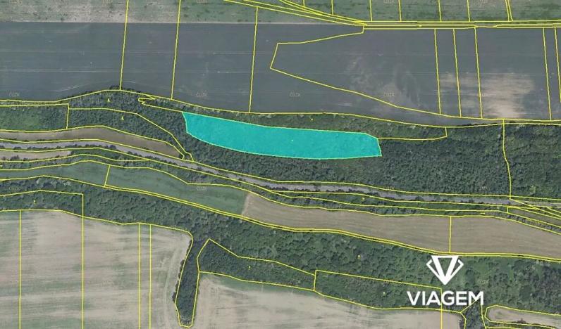 Prodej podílu lesa, Dřetovice, 3036 m2