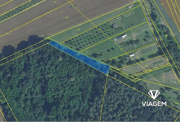 Prodej podílu lesa, Březolupy, 446 m2