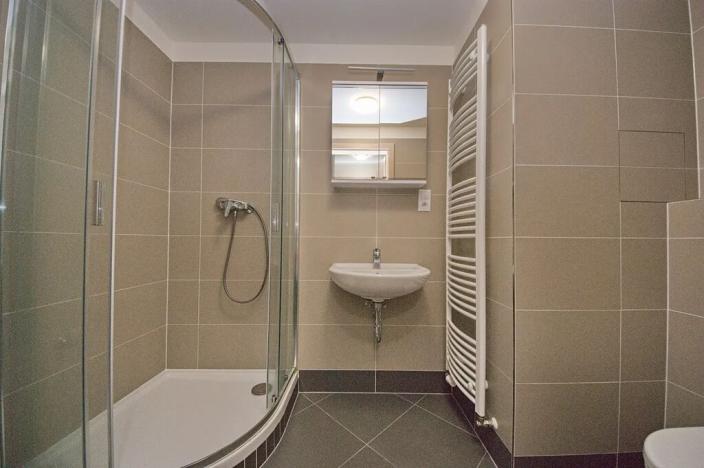 Pronájem bytu 1+kk, Praha - Michle, Krnkova, 33 m2