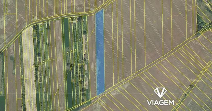 Prodej podílu sadu/vinice, Labuty, 450 m2