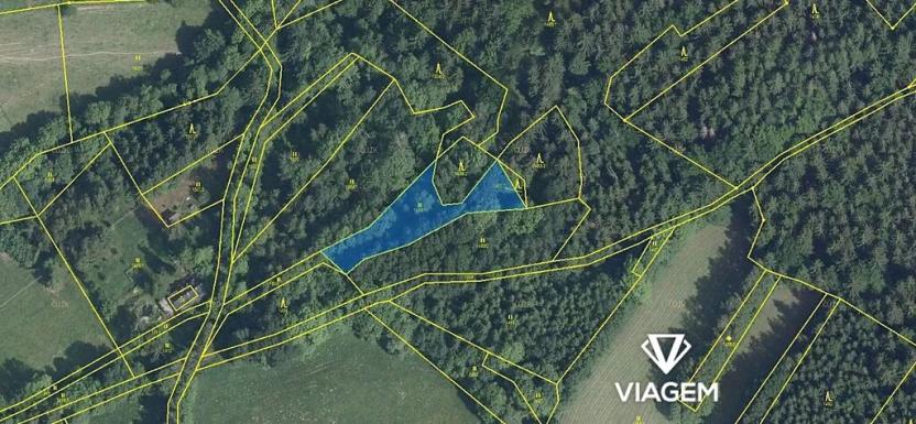 Prodej podílu lesa, Zlatá Olešnice, 569 m2