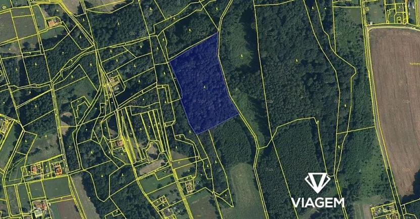 Prodej podílu lesa, Doubrava, 1081 m2
