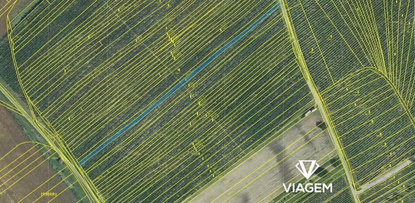 Prodej podílu pole, Dolní Bojanovice, 439 m2