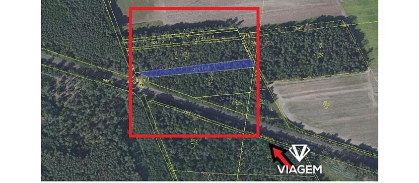 Prodej podílu lesa, Lysá nad Labem, 720 m2