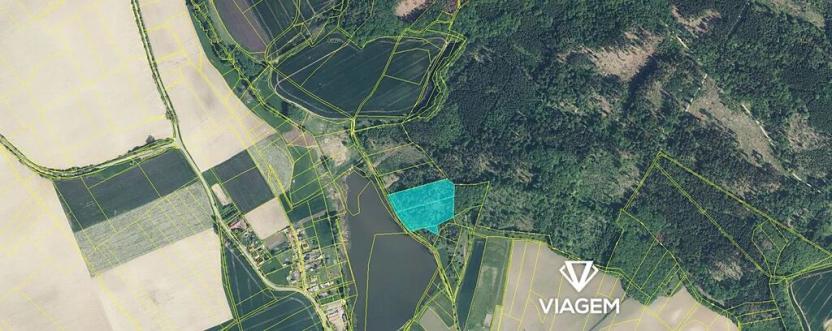 Prodej podílu lesa, Střevač, 1453 m2