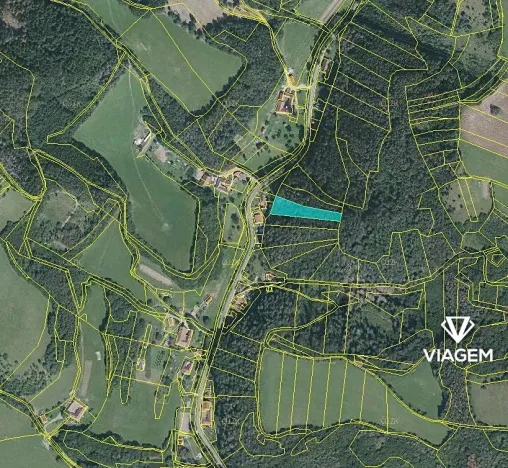 Prodej lesa, Letovice, 2703 m2