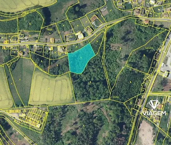 Prodej lesa, Náchod, 3493 m2