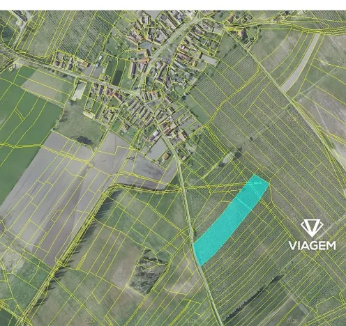 Prodej podílu zahrady, Horušice, 2981 m2