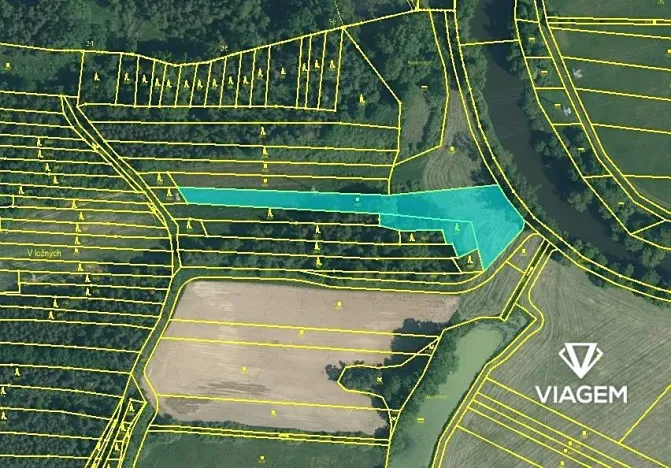 Prodej pole, Žíšov, 4183 m2