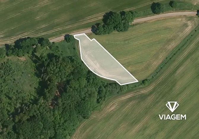 Prodej podílu pole, Častolovice, 1215 m2