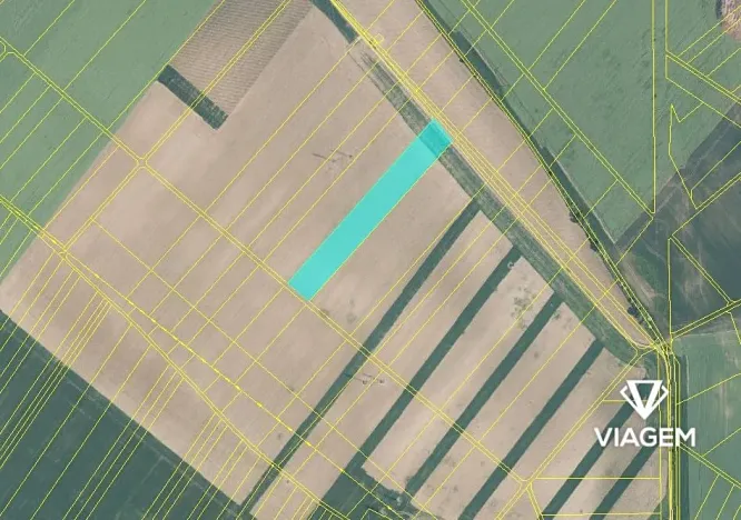 Prodej podílu pole, Čebín, 6396 m2