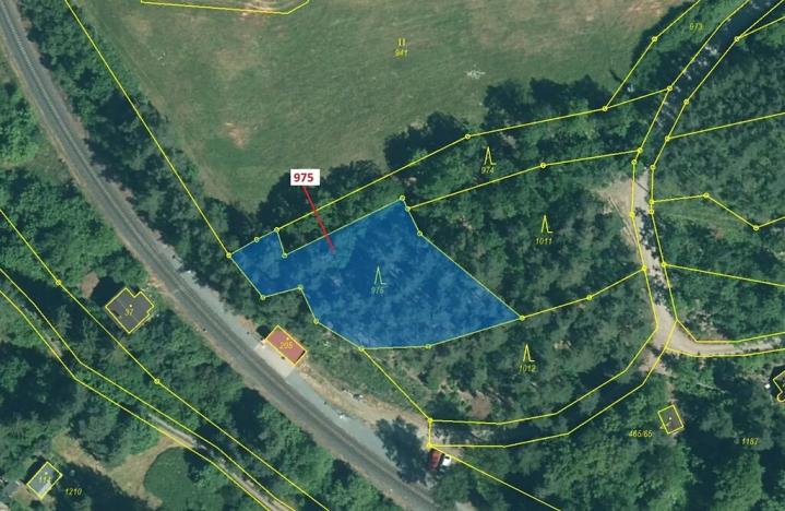 Dražba lesa, Plasy, 1287 m2