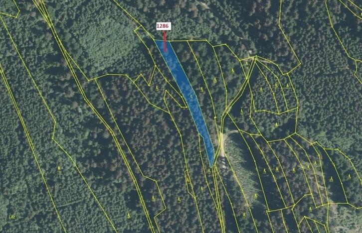 Dražba lesa, Lačnov, 2442 m2