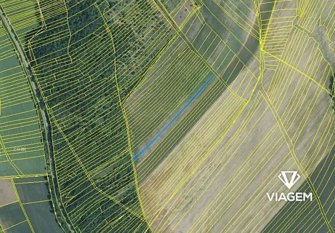 Prodej pole, Silůvky, 2305 m2