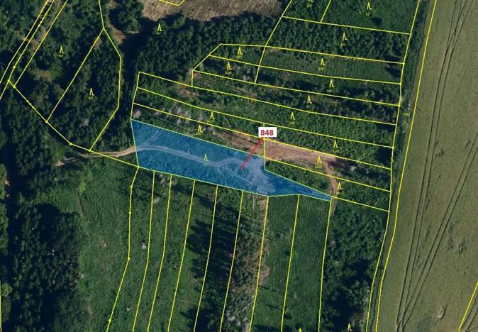 Dražba lesa, Moravské Budějovice, 2338 m2