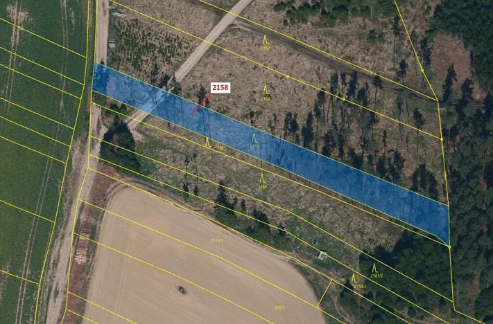 Dražba lesa, Žirovnice, 2356 m2