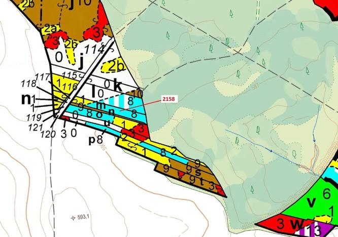 Dražba lesa, Žirovnice, 2356 m2