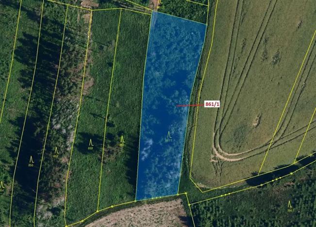 Dražba lesa, Moravské Budějovice, 3604 m2