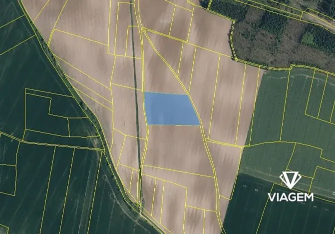 Prodej pole, Vinařice, 12754 m2