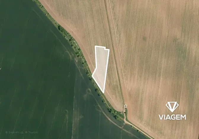 Prodej pole, Vinařice, 2917 m2