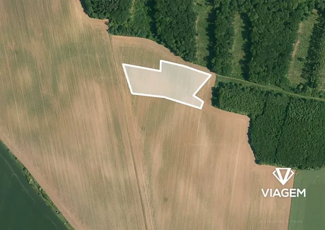 Prodej pole, Vinařice, 15763 m2