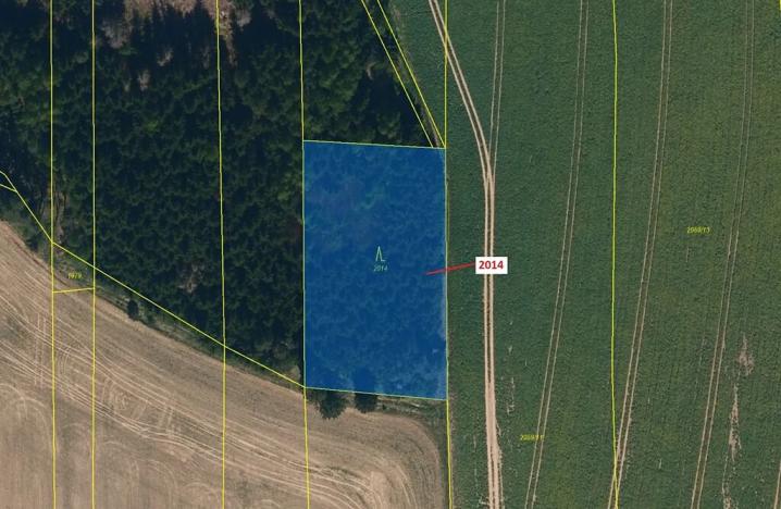 Dražba lesa, Žirovnice, 2931 m2