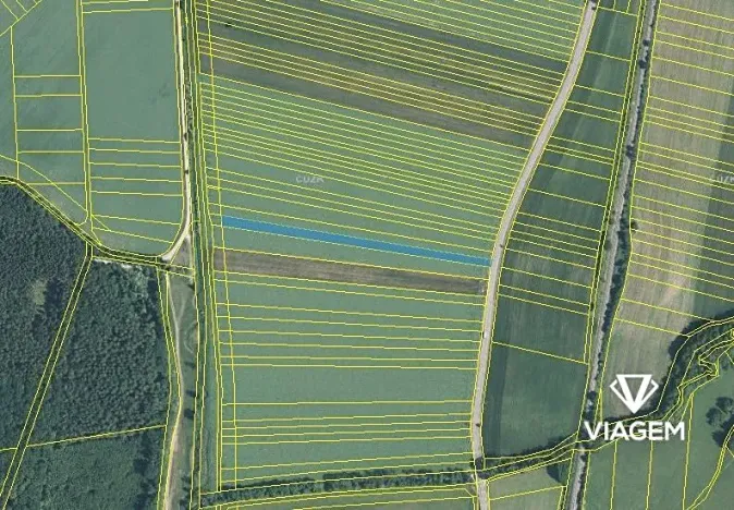 Prodej podílu pole, Javorník, 1901 m2