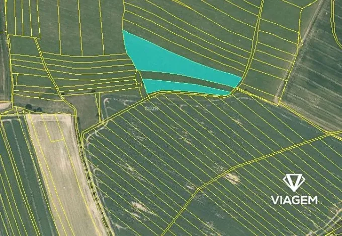 Prodej podílu pole, Krtov, 4136 m2