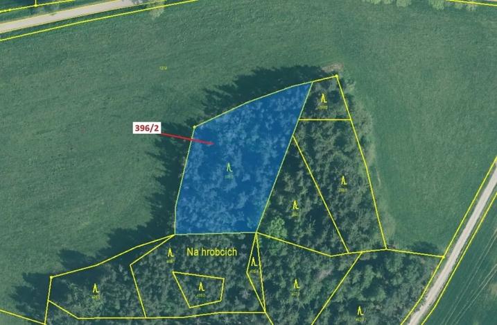 Dražba lesa, Kuřimany, 3340 m2