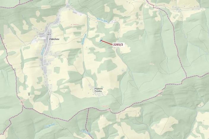 Dražba lesa, Zděchov, 2225 m2