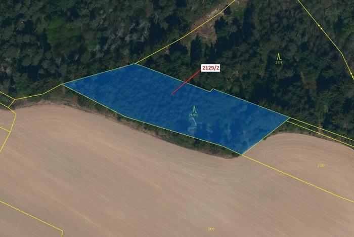 Dražba lesa, Žirovnice, 3636 m2