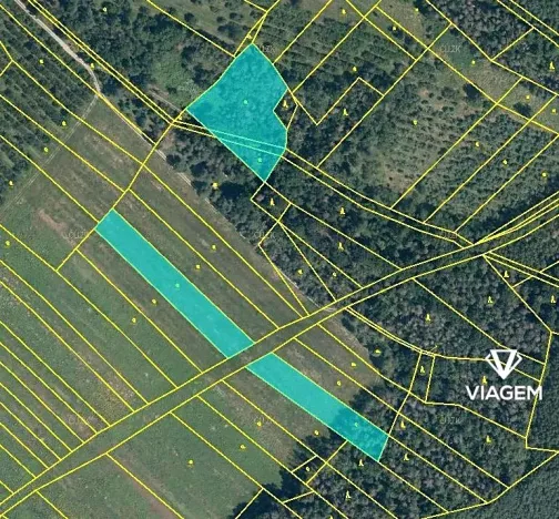 Prodej podílu pole, Horušice, 1624 m2