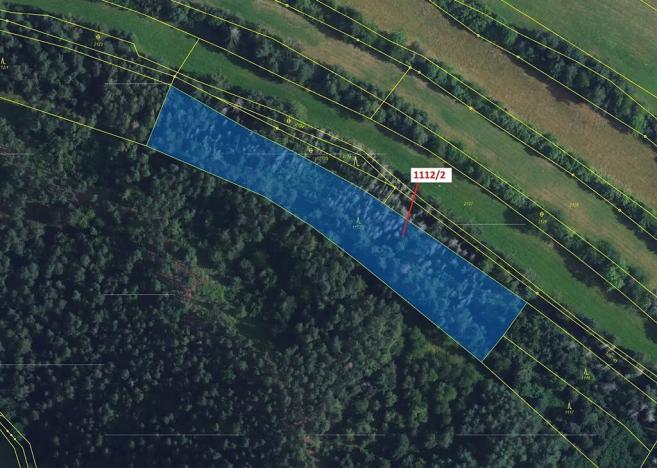 Dražba lesa, Žďárec, 5233 m2