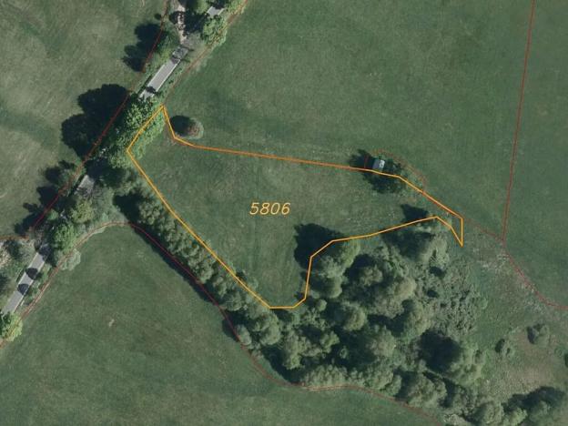 Dražba louky, Bartošovice v Orlických horách, 5738 m2