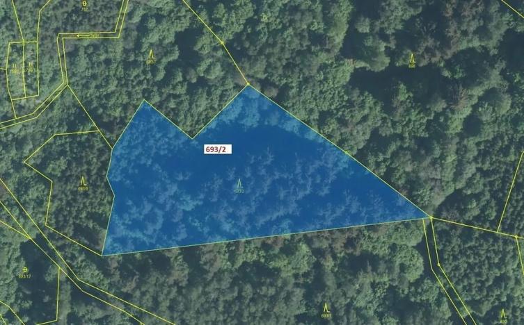 Dražba lesa, Lačnov, 7364 m2