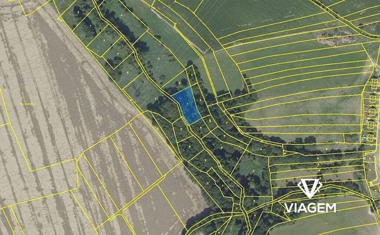 Prodej pole, Zlatá, 1726 m2