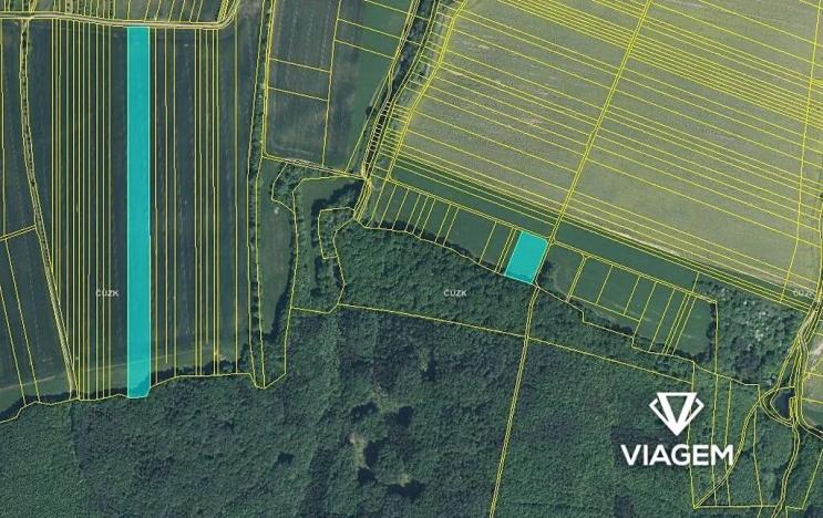 Prodej pole, Nedachlebice, 19282 m2