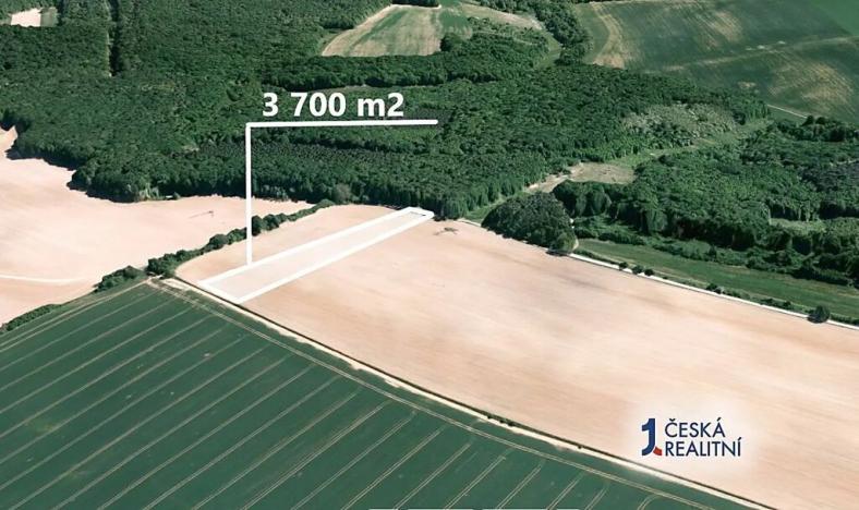 Prodej pole, Mistřice, 3700 m2